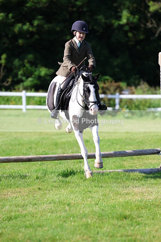 3E7A5887 - Class 27: Novice Working Hunter Pony