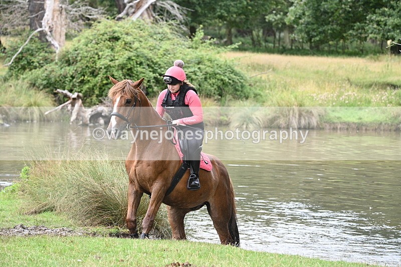 WJ7_2731 - Time at Water 11:37 to 12:13