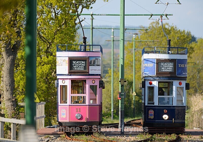 27th April 2025 - Seaton Tramway, Devon