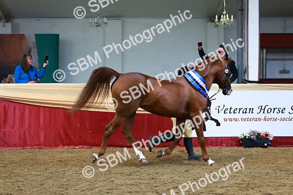 SBM_23062 - Supreme Final - IH  Champ