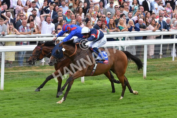 yr23072022r3-35 - Race 3 3.15pm Sky Bet York Stakes