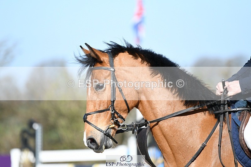 250330-103627-06190 - Cls 32 British Novice and 90cm