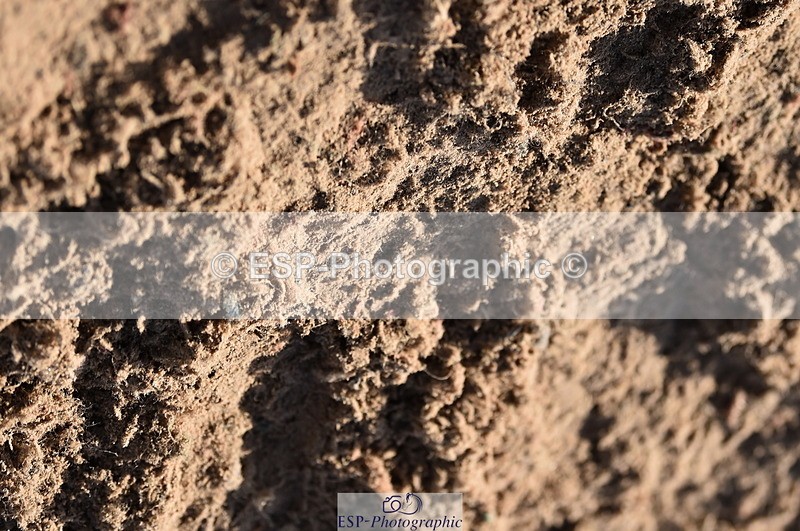 231015A-101800-07192 - Cls 23 Discovery & 1m Open