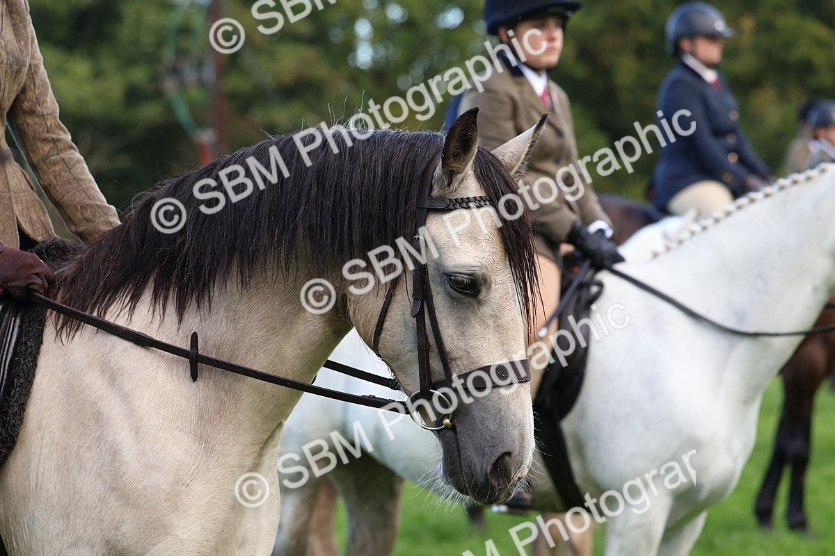 SBM_36880 - S11 - Best Ridden Horse & Pony