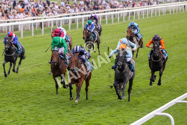 170524-Race 1-Betty Clover-2122 - Race 1 2.15pm Clipper EBF Marygate Fillies' Stakes