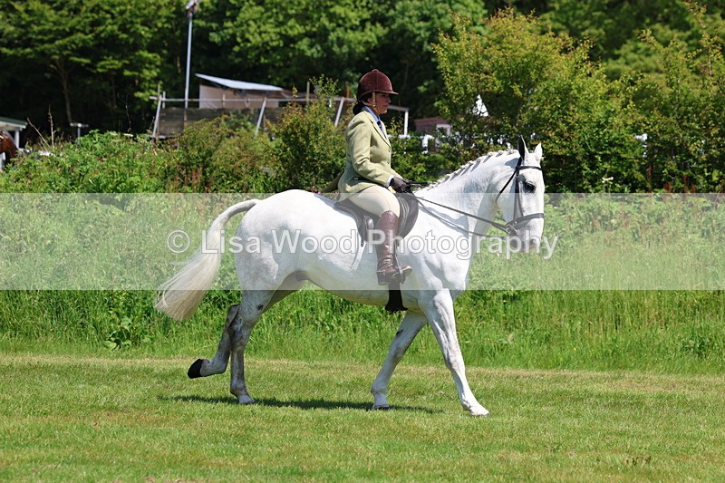 3E7A8277 - Class 13: Ridden Hunter