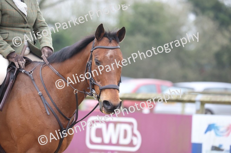 20260308-0176 - Class 1 - 60cm