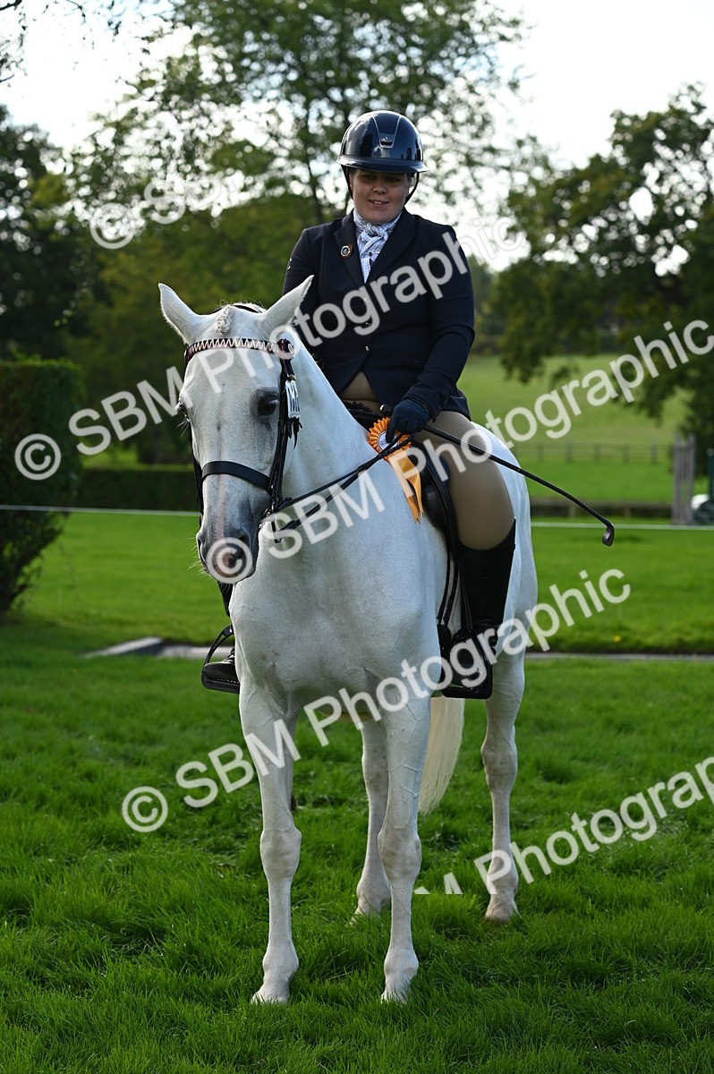 SBM_02086 - S2 - TSR Ridden Horse Showing