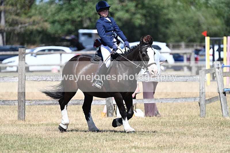 WJ7_3681 - Class 8 Ridden Veterans