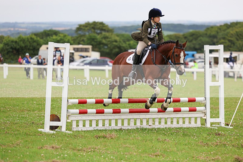 3E7A2954 - Class 1: Open 70cm (Not all Competitors)