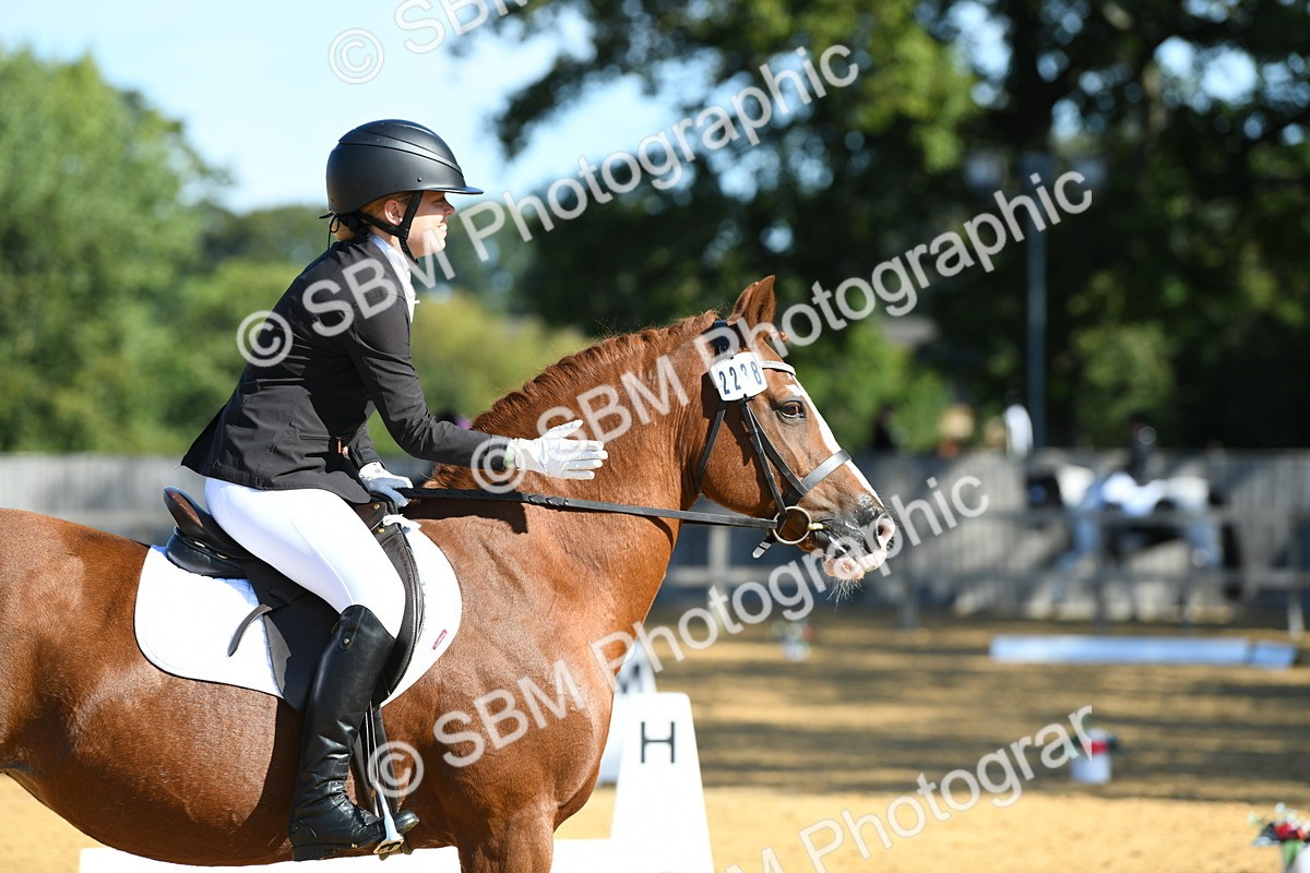 SBM_18046 - D4 - Small Tour Championship - Intro B