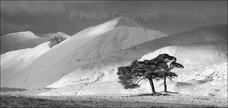 Mountain Shadows Mono - Mono