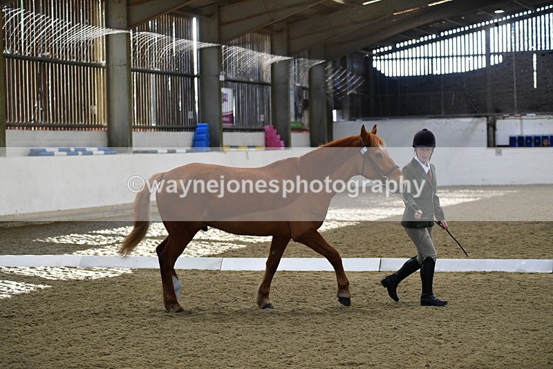 WJ5_3670 - Class 5 In Hand Veterans