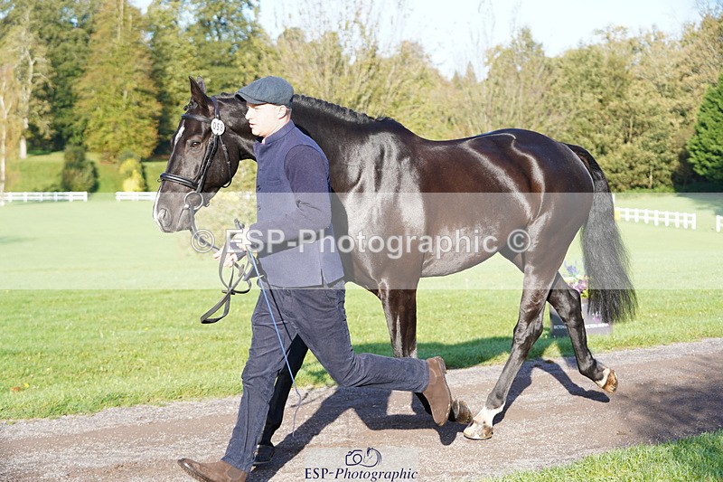 241026-100650-11620 - 058-Jack.Ashworth-TIMEPEICE.BLUE