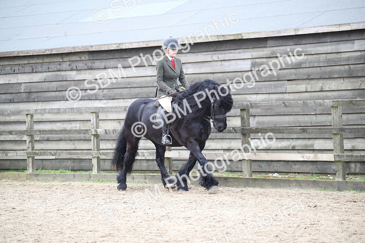 SBM_007321 - Class 10-13 - RIHS Small Large Breeds