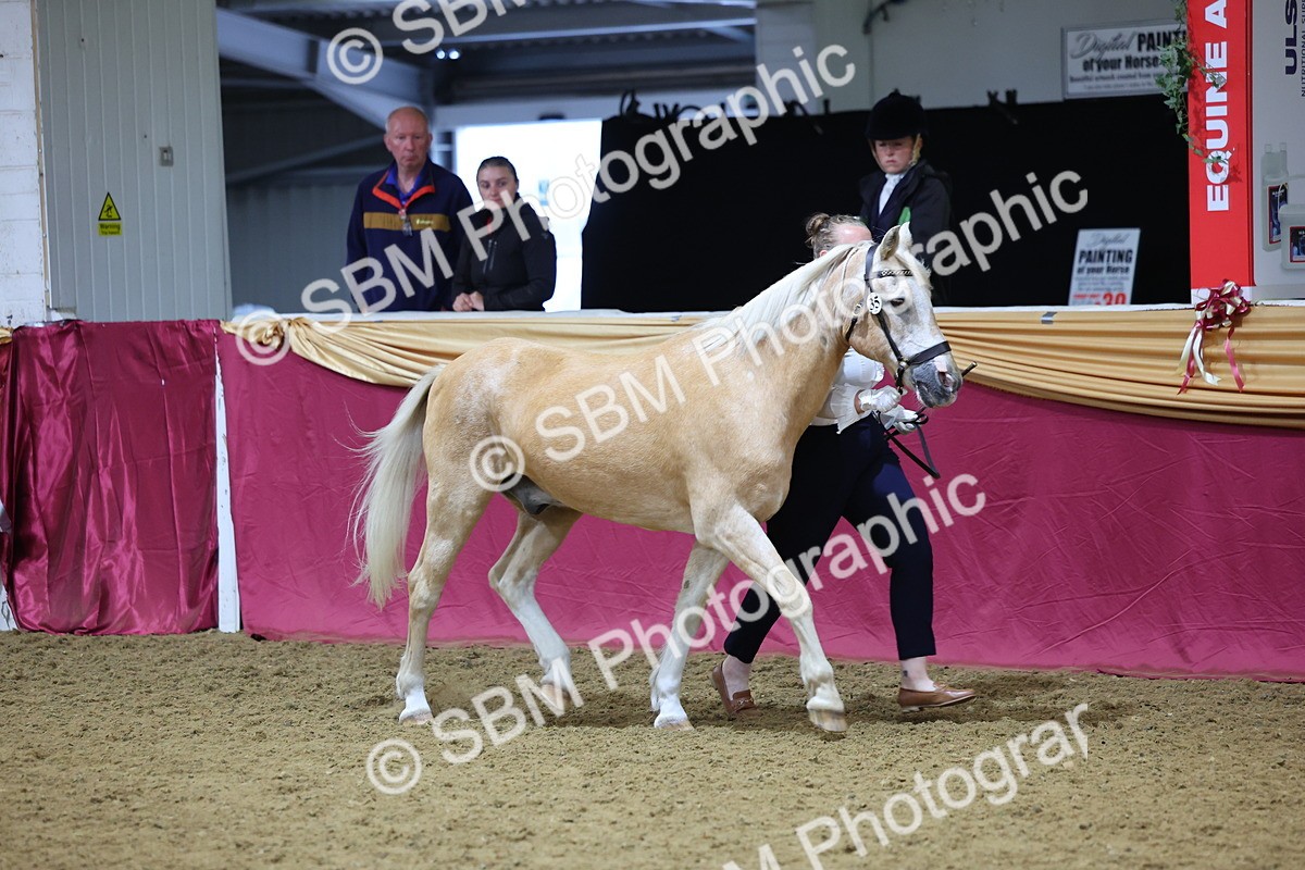SBM_19373 - Class 901 - Supreme Final - IH Diamond