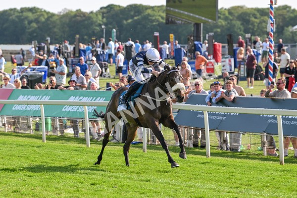 130625-Race 7-Dawn Of Liberation-0164 - Race 7 5.20pm Irish Thoroughbred Marketing Handicap