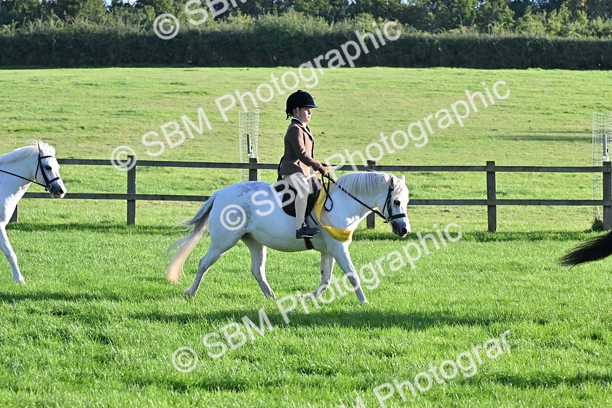 SBM_53095 - S23 - First Ridden Mountain & Moorland Pony