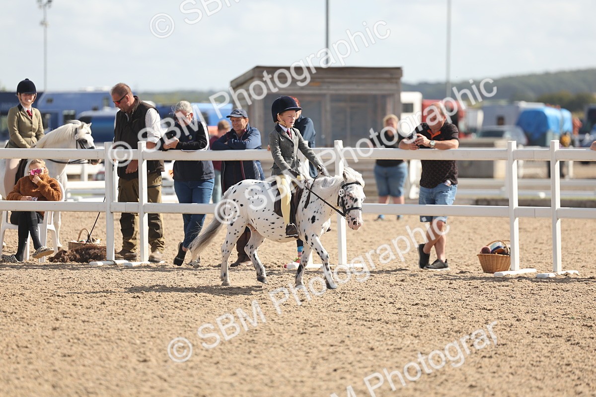 SBM_23125 - Class 806 - Young Rider 10ry and Under