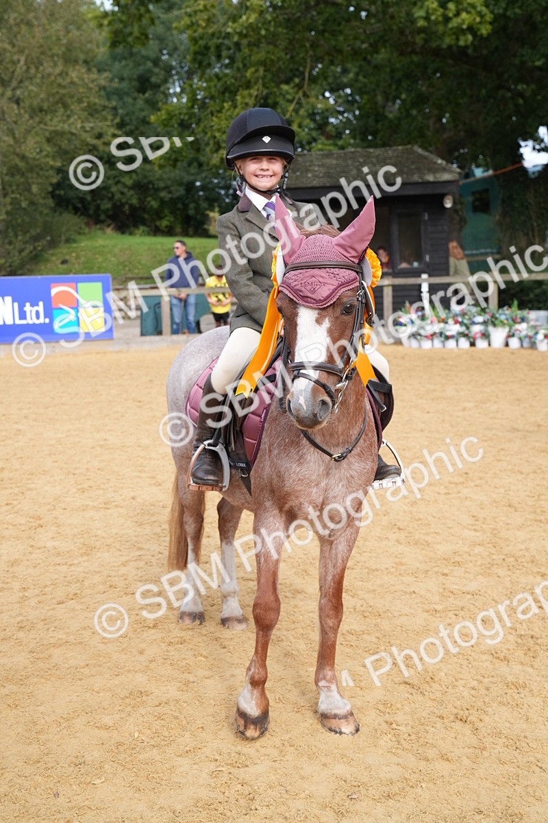 SBM_70506 - J3 - Mini Tour Junior Pony 40cm Championship