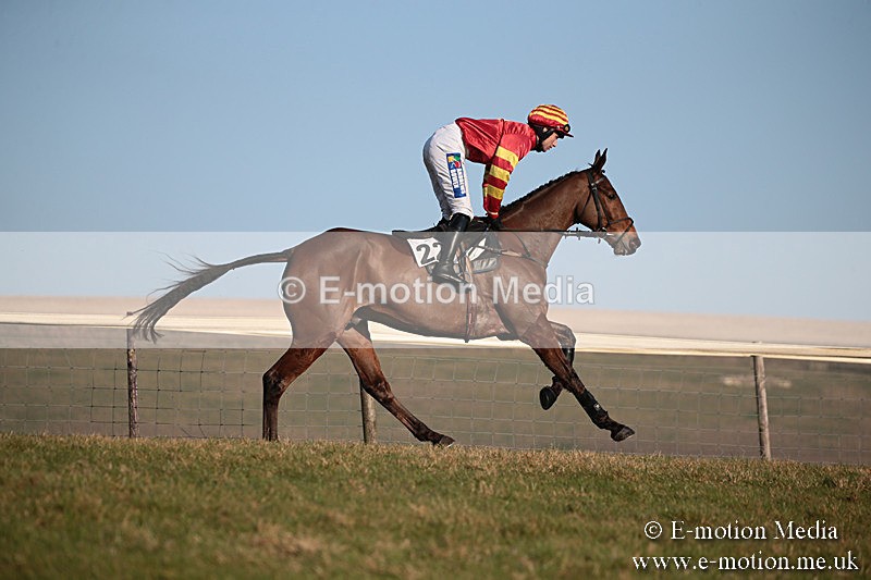 PtP 230219 491 - Vine & Craven Point-To-Point - Barbury 23/02/19
