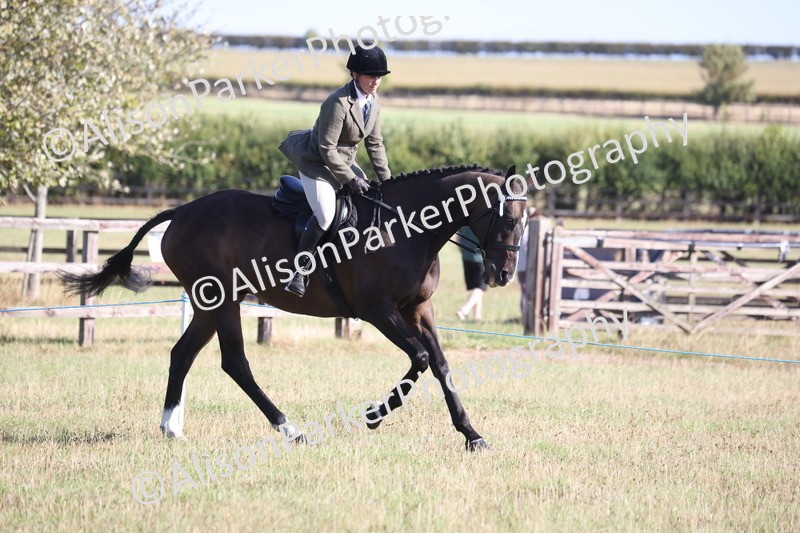 20260906-0362 - Class 14 - Ex Racehorse