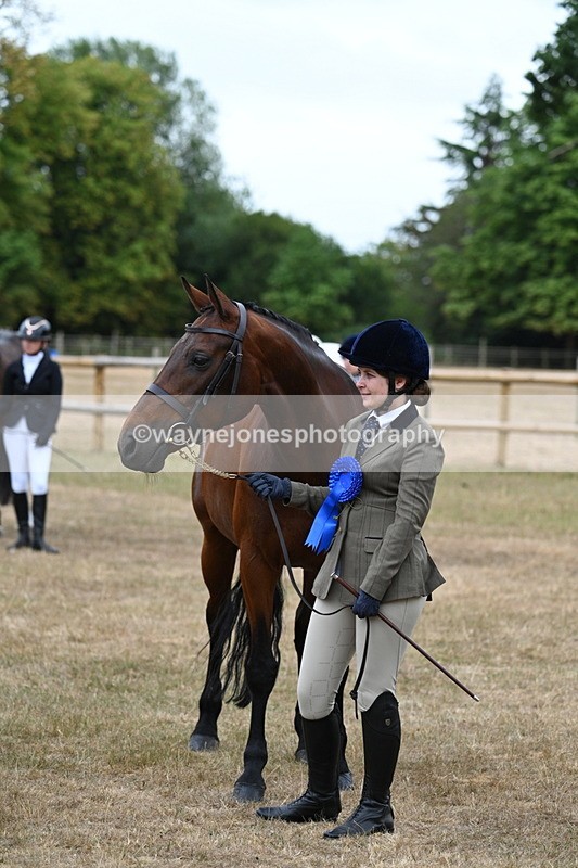 WJ7_9252 - Class 4a Prettiest Mare 14.2hh and over