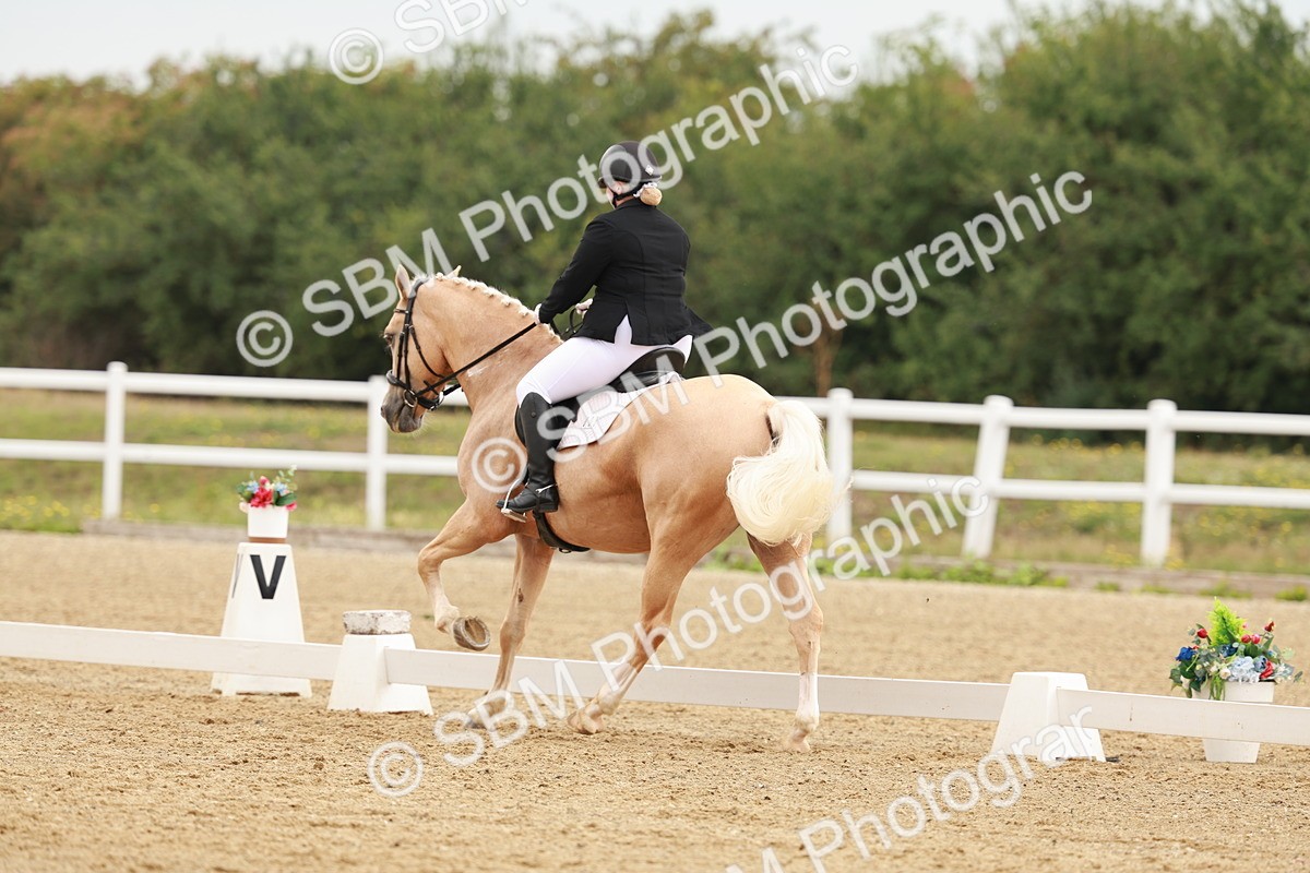 SBM_009138 - Class 12 - Elementary 6 - 9.30-10.34