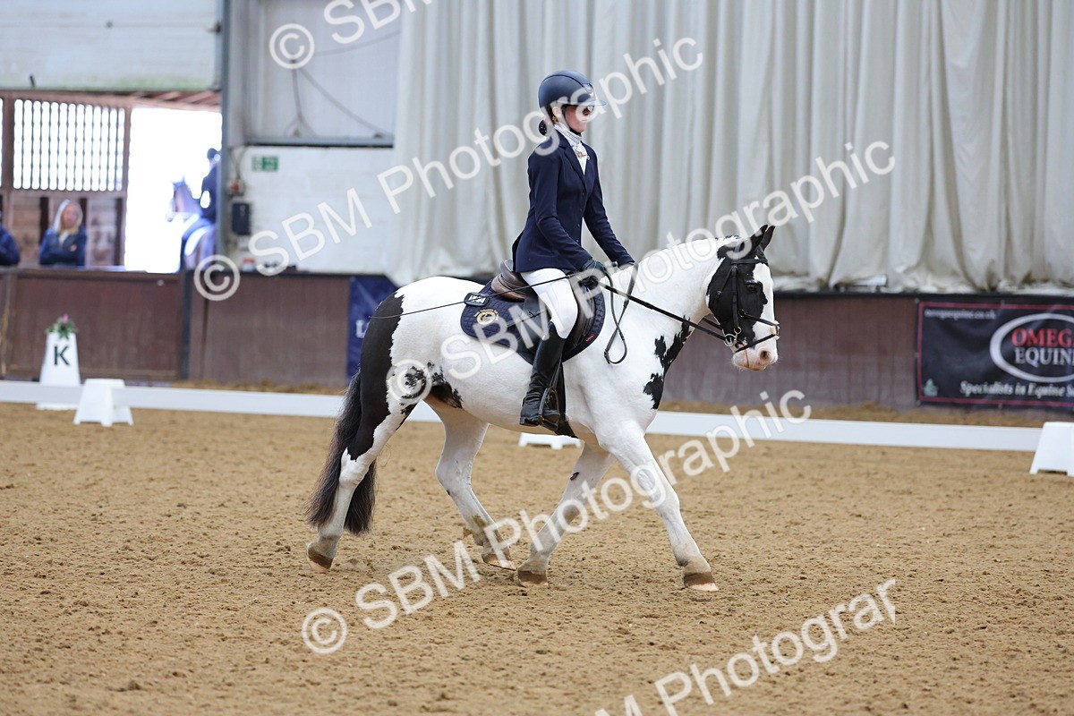 SBM_003063 - Novice
