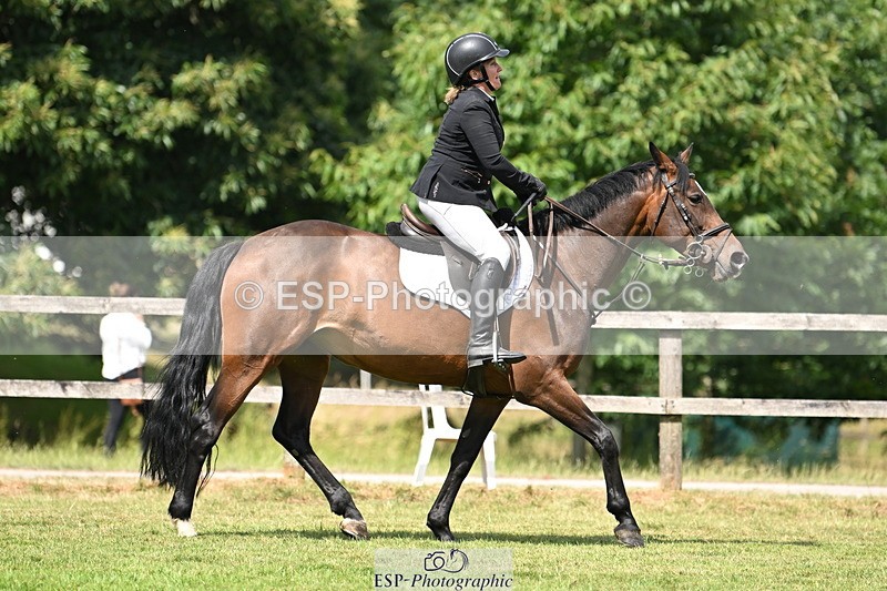 250704A-110333-07146 - Cls 25 Snr British Novice and 90cm