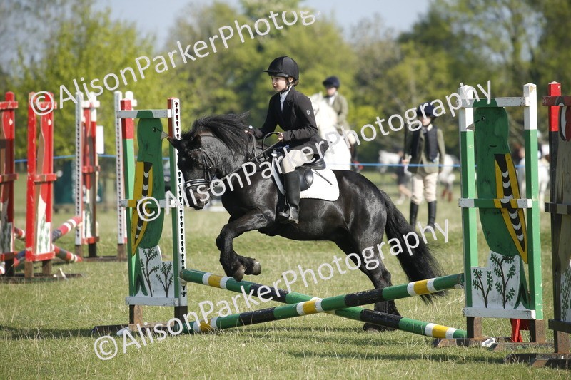 20250427-0321 - Class 12 - Rookie Jumping 40cm