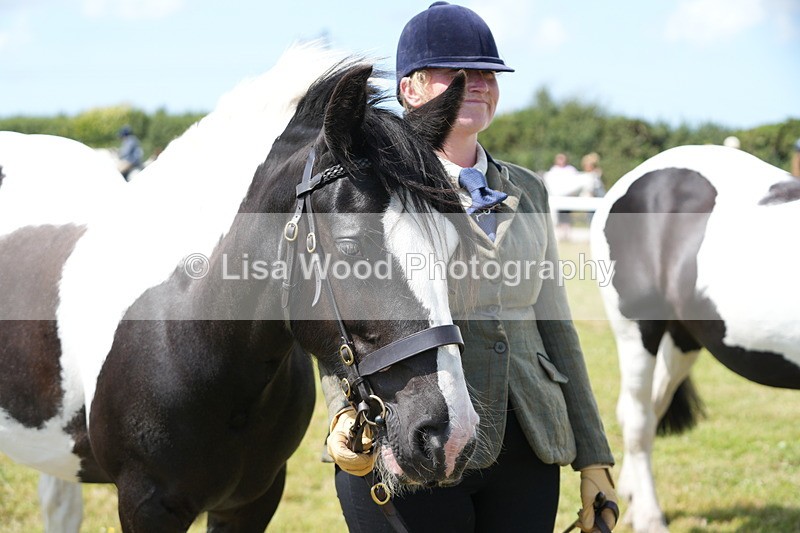 DSC07109 - Class 61: Coloured Horse 4yrs & Over