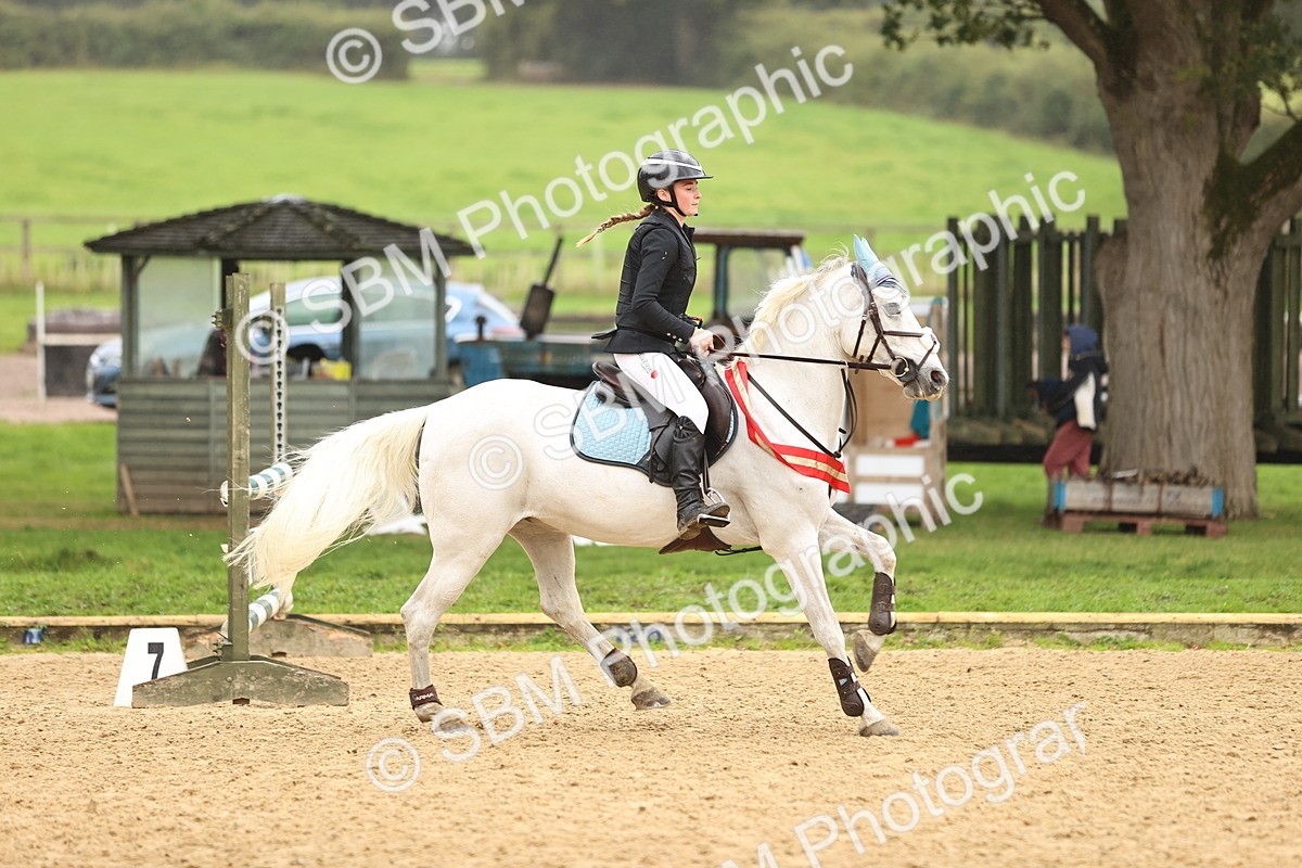 SBM_70104 - Supreme Championship 80cm 85cm