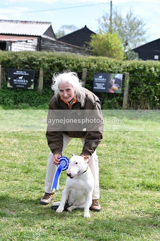 WJ5_0630 - Class 7 Best Terrier