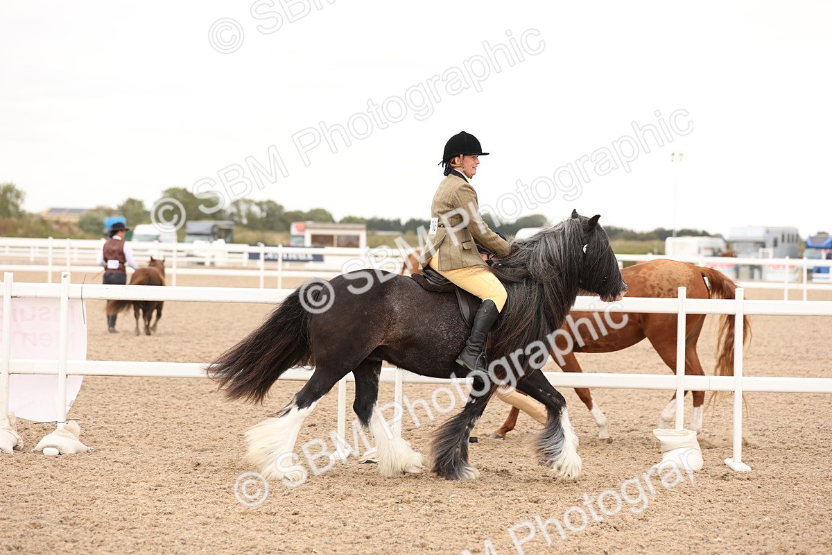 SBM_19649 - Class 216 - Ridden Traditional - Native Cob