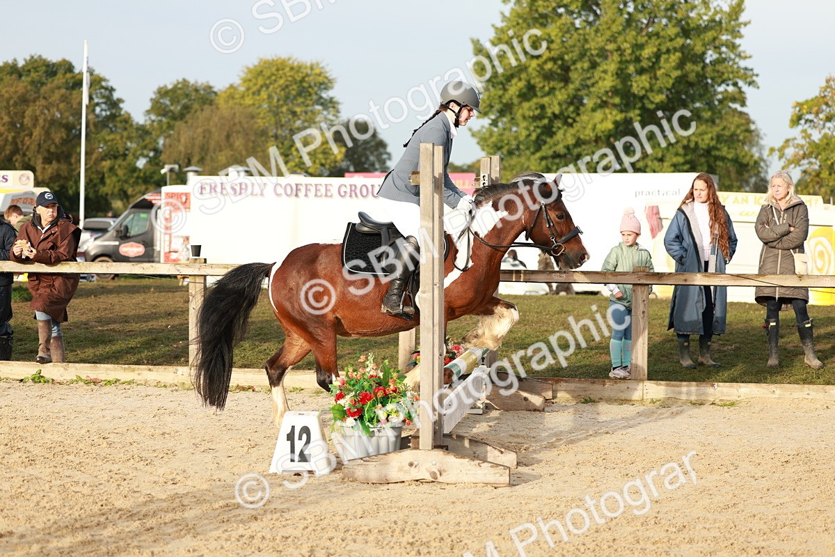 SBM_55469 - J11 - Junior Pony 50cm Championship