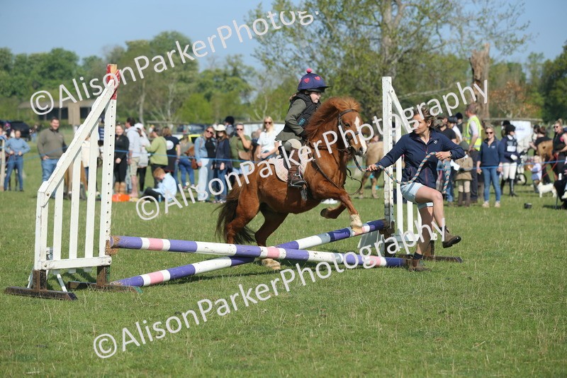 20250427-0971 - Class 1 - Mini Jumping Lead Rein or Assisted