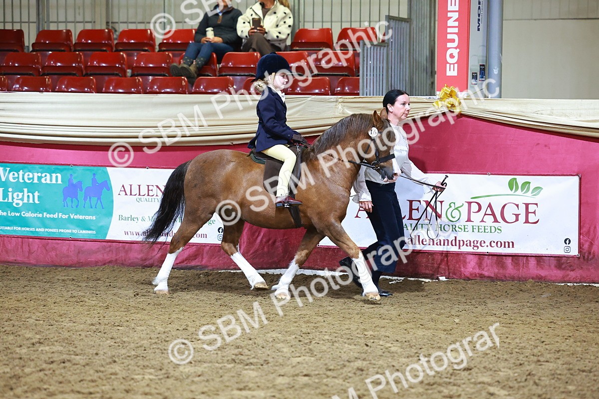 SBM_14654 - Class I - Ridden Pony Champ