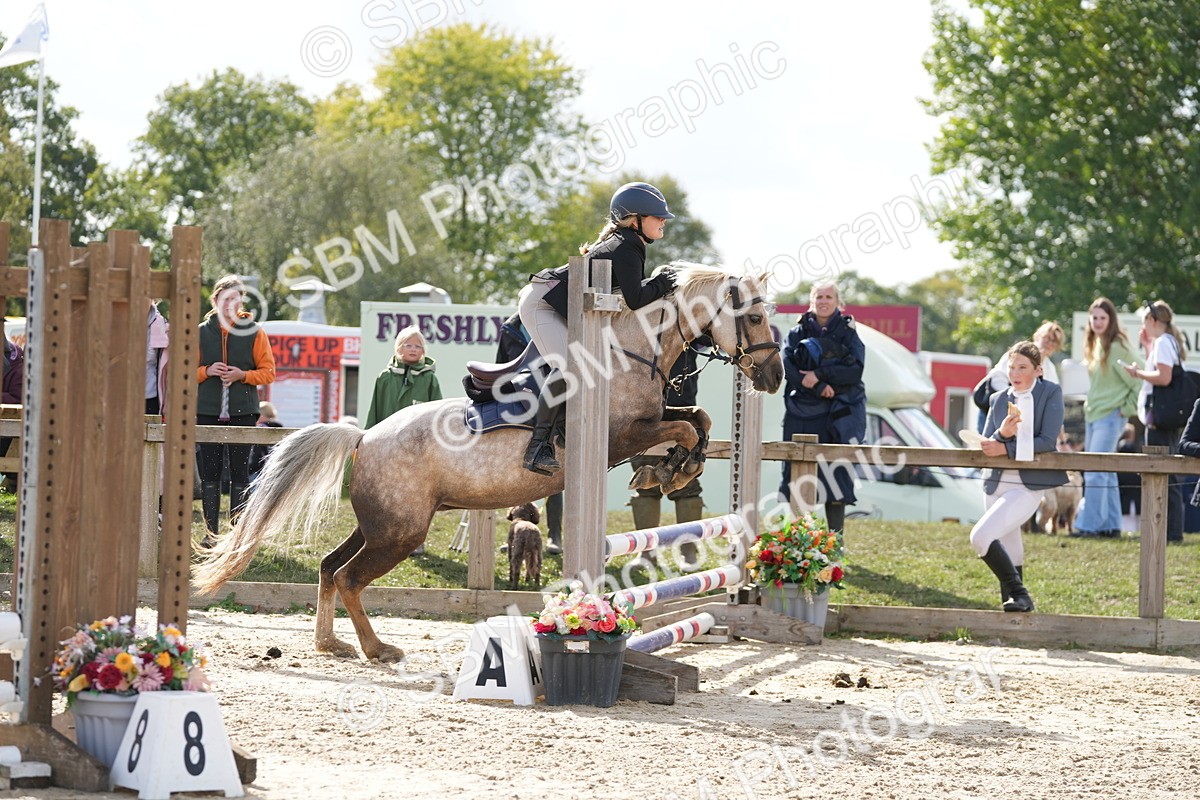 SBM_48551 - J7 - Junior Pony 60cm Championship
