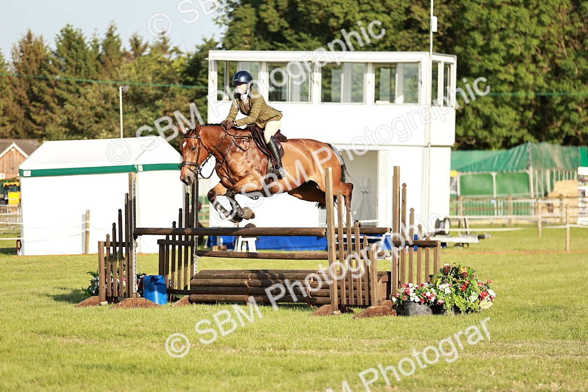 SBM_20377 - Class 117-119 - Sport Horse Working Hunter