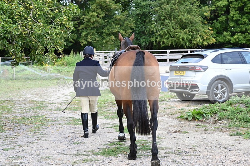 WJ6_3021 - Berks & Bucks - The Old farmhouse - Hound Exercise 20-08-25