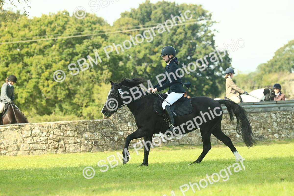 SBM_66542 - S34 - Rehabilitated Rescue Horse & Pony In Hand & Ridden