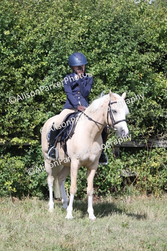 20250831-2519 - Class 16 - Family Pony