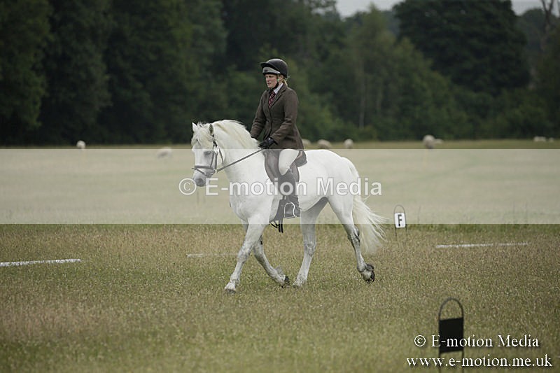 B230619-0347 - Bourne Valley Riding Club Summer Show 23/06/19