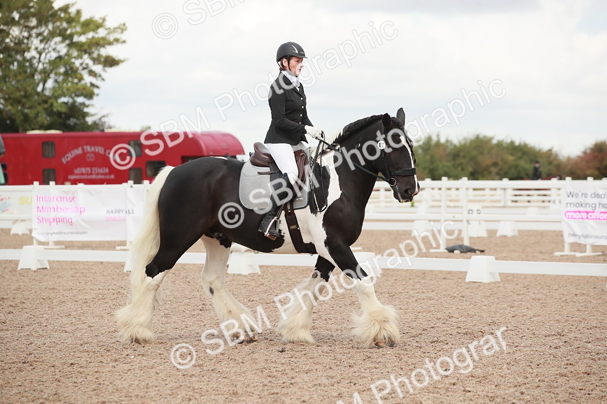 SBM_03813 - Class 31 - Prelim 1