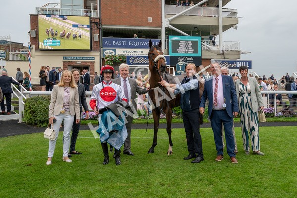 250524-Race 7-Feel The Need-0703 - Race 7 5.05pm Alf Duffield Memorial Handicap