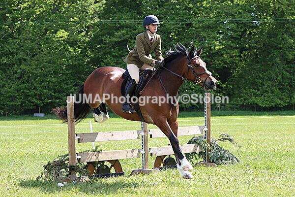 IMG_4234 - Working Hunter