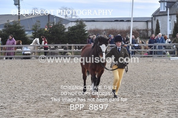 BPP_8897 - RING 2 - M&M