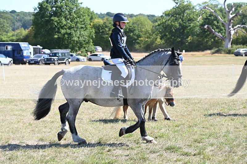 WJ6_8300 - Class 37a Best Loan Pony Ridden
