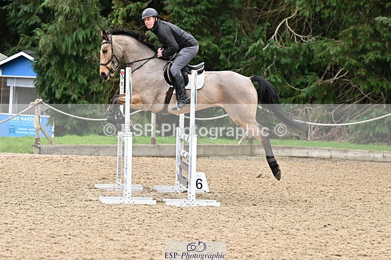 250201A-120810-00599 - Cls 02 Local Horse 100cm